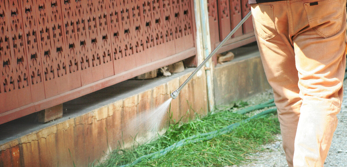 How Often Should Pest Control Be Done? Preventive Pes