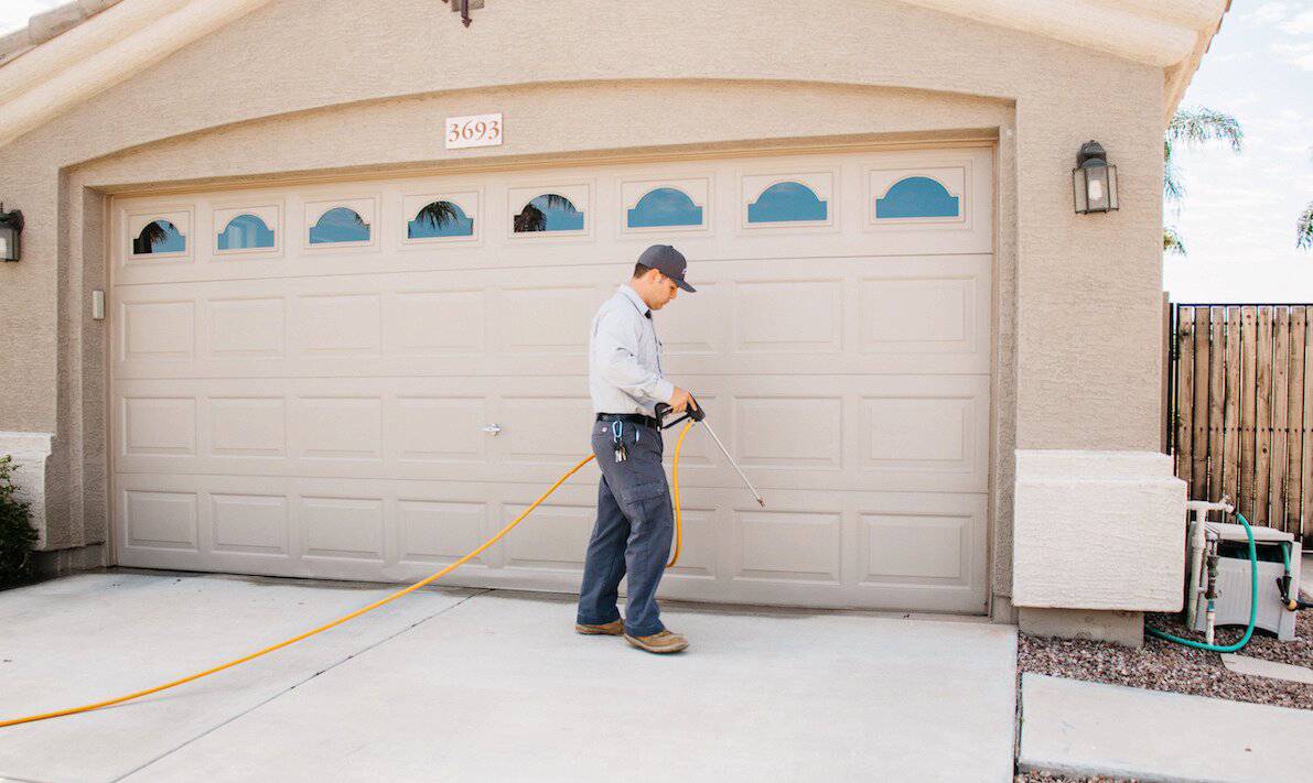 The Best Time to Spray for Bugs & Spiders Preventive