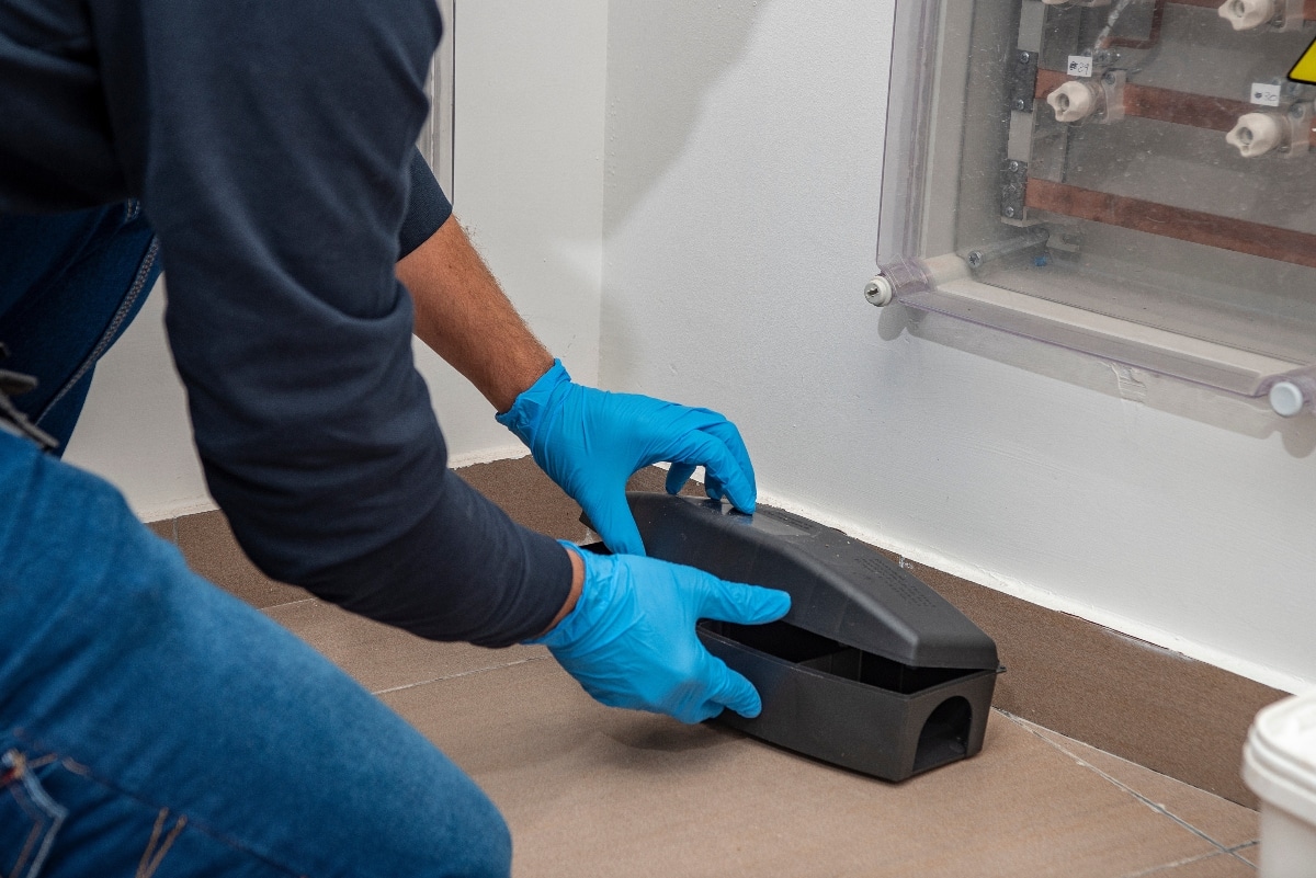 Pest control technician setting a trap to catch a mouse