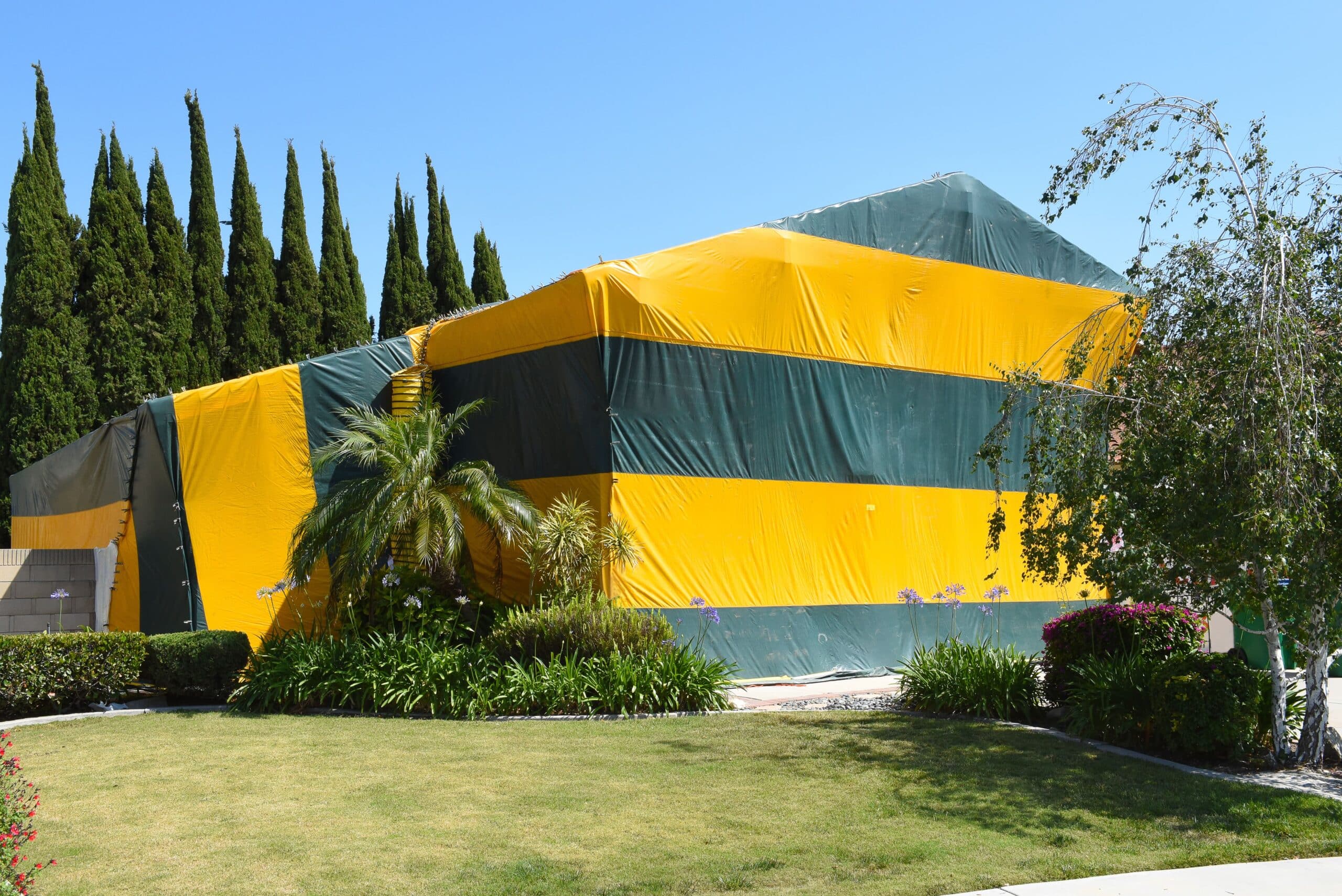 California home with termite infestation