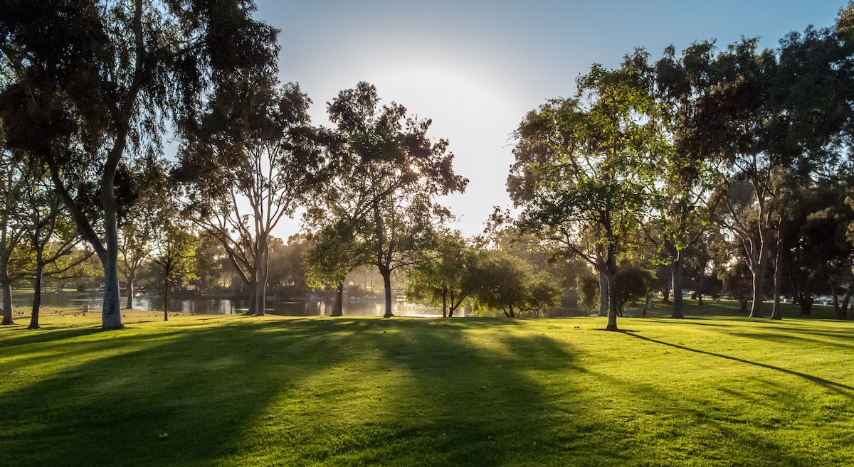 Pest Control in Fountain Valley Made Easy